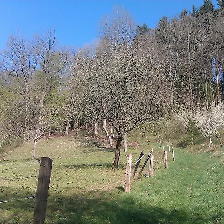 Eifelstube