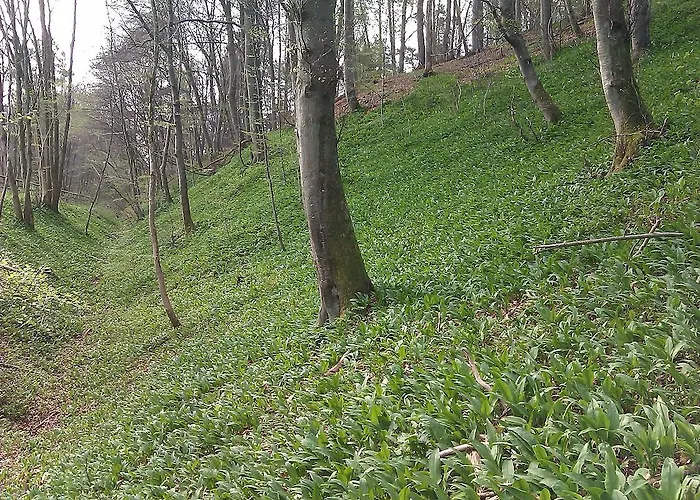 Casa de hóspedes Eifelstube Rodder